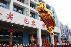 醒狮贺岁，郑州德华风险投资管理有限公司2019年开工大吉